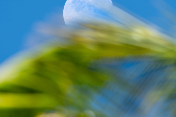 Hawaii – Dreamin’
