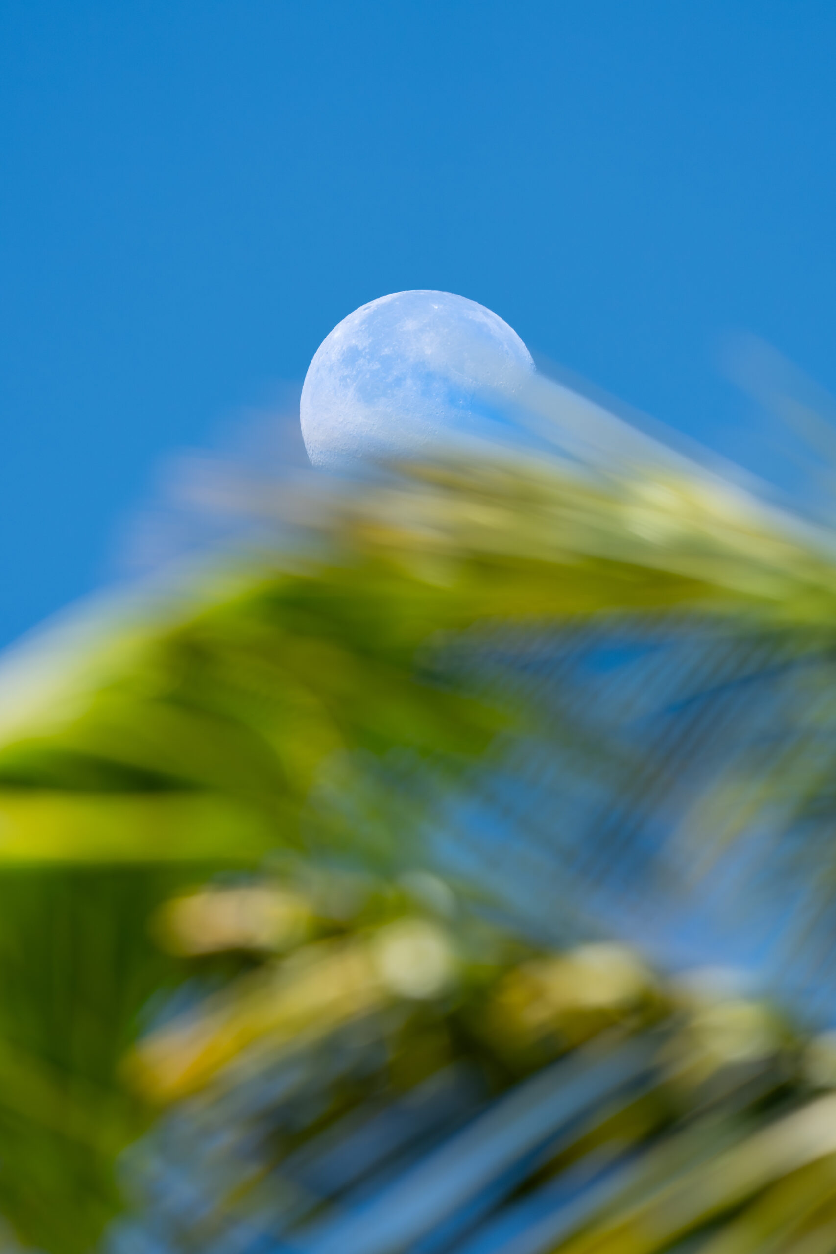 Hawaii – Dreamin’