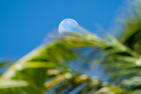 Hawaii – Dreamin’