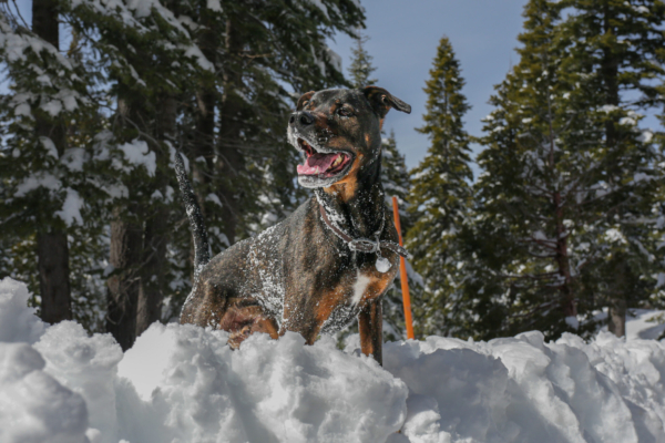 Simon’s First Snow Experience