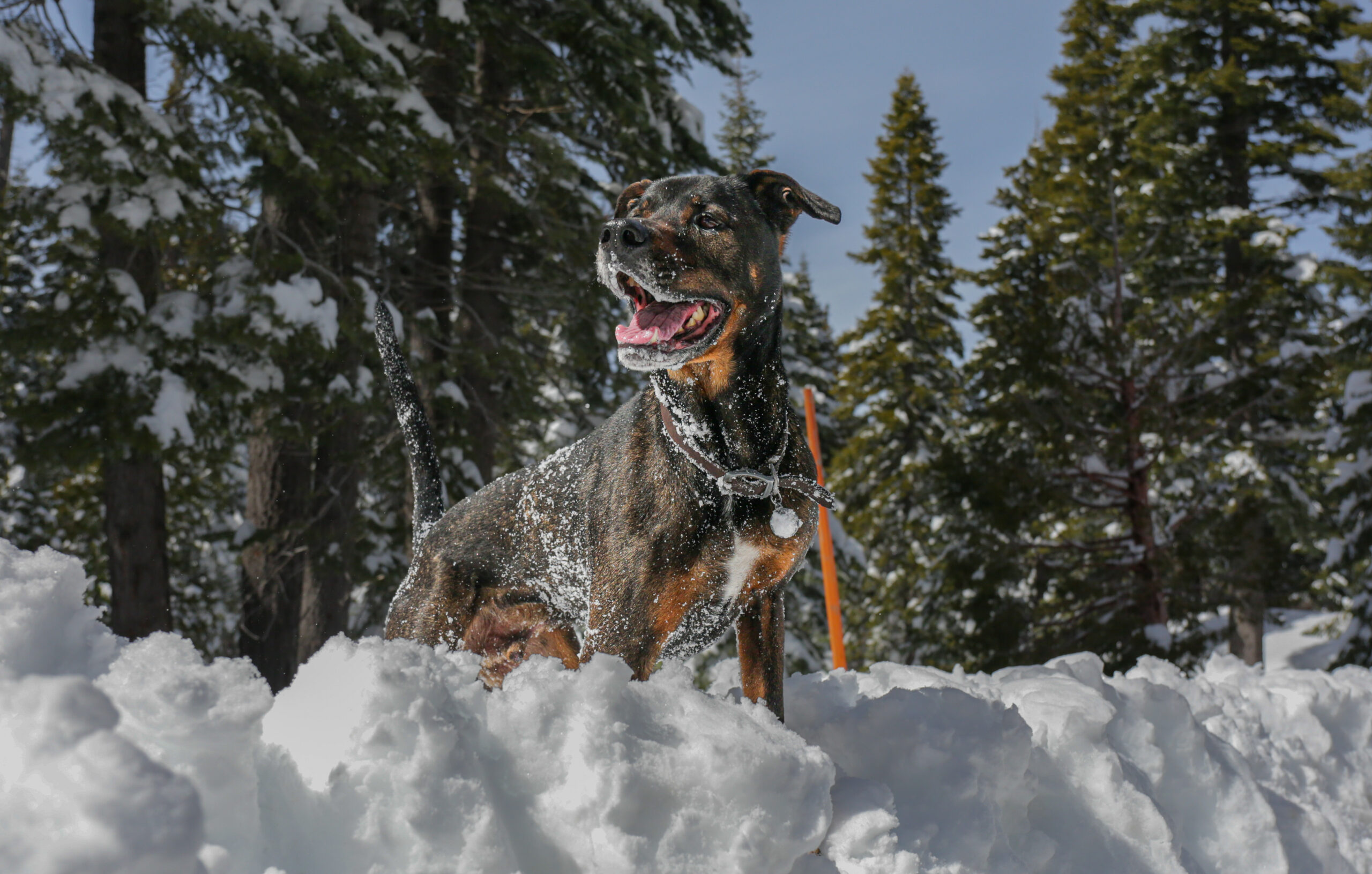 Simon’s First Snow Experience