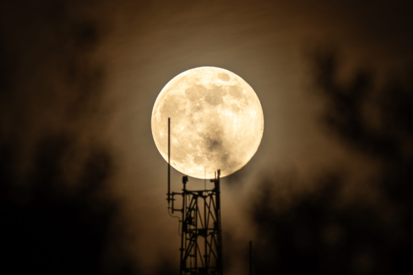 Cold Moon