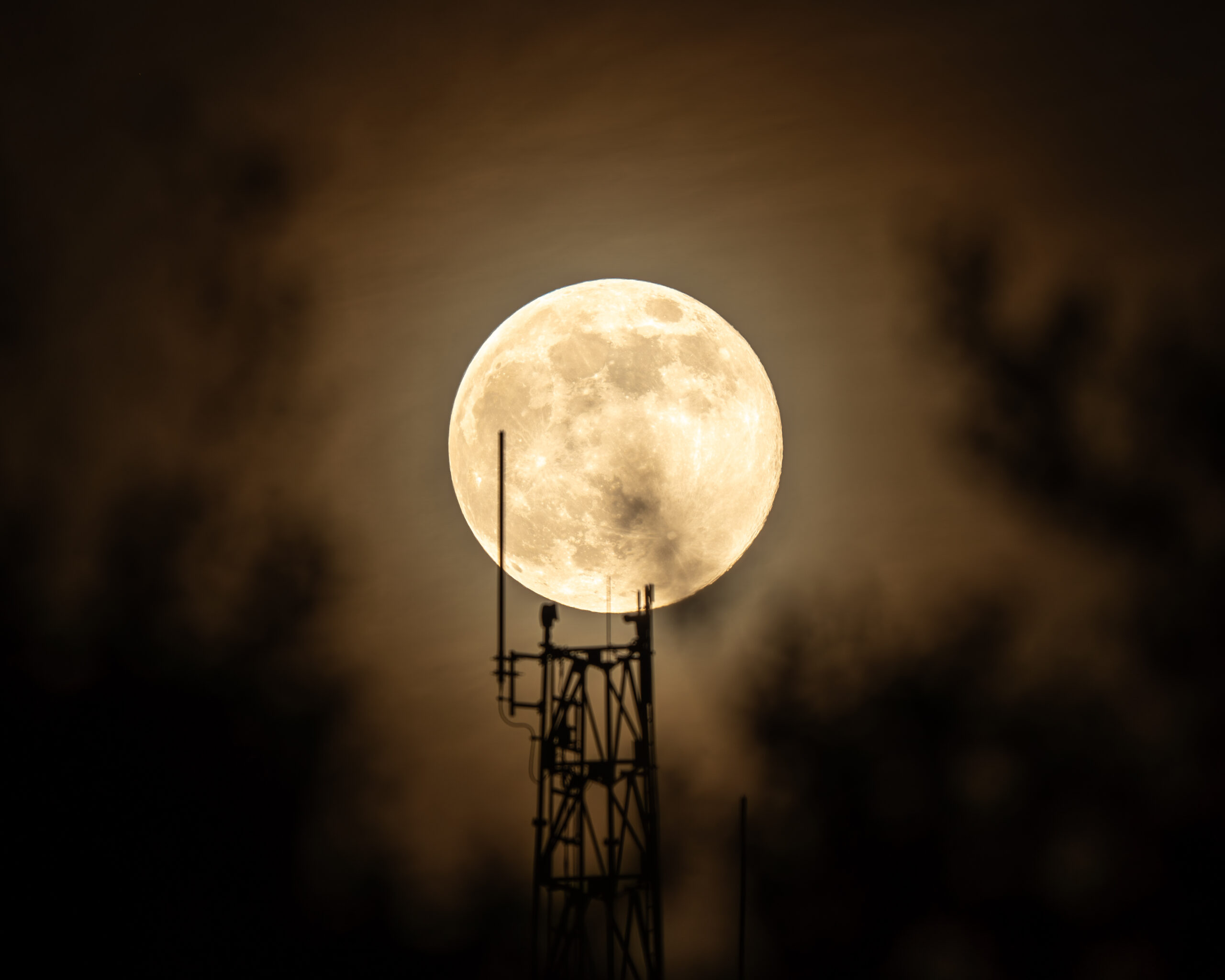 Cold Moon