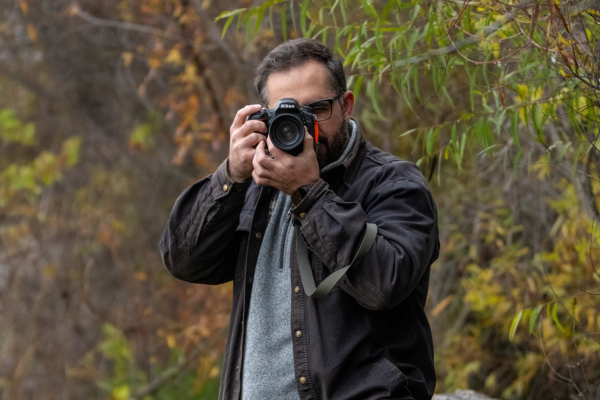 Mickey in the Wild